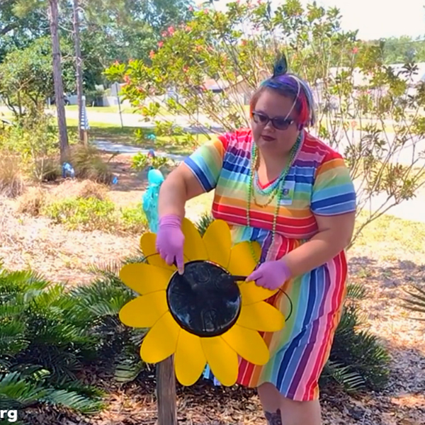 Outdoor Music Garden Blooms at Palm Harbor Library, Florida