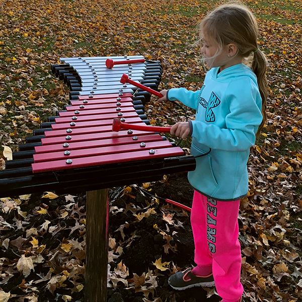 Inclusive Music Park for City of Essex, Iowa