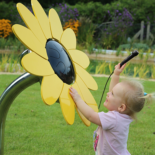 Sunflower Petal Drum