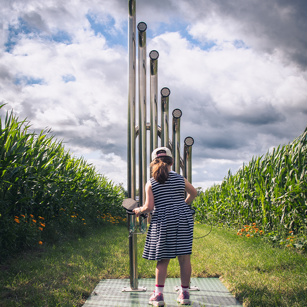 Musical Maze Gets Visitors Lost in Music, Buckinghamshire, UK